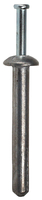 CA45-025-100IS 1/4 X 1 NAIL IN STAINLESS